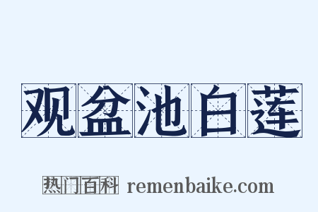 观盆池白莲是什么意思的图片